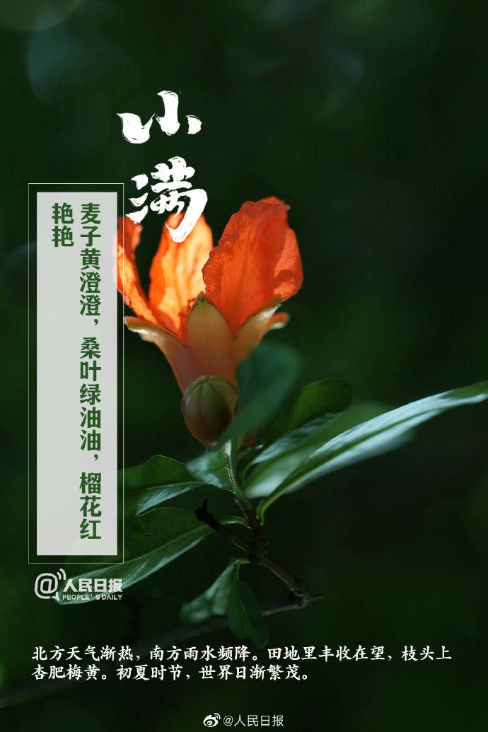 【今日，#小满#】①小满是二十四节气中第八个节气，也是夏季第二个节气；②“小满者，物致于此小得盈满”；③小满后气温明显升高，我国#多地将正式开启夏日节奏#；④此时节，雨水涟涟，蚕食桑叶，榴花绚烂。6.jpg