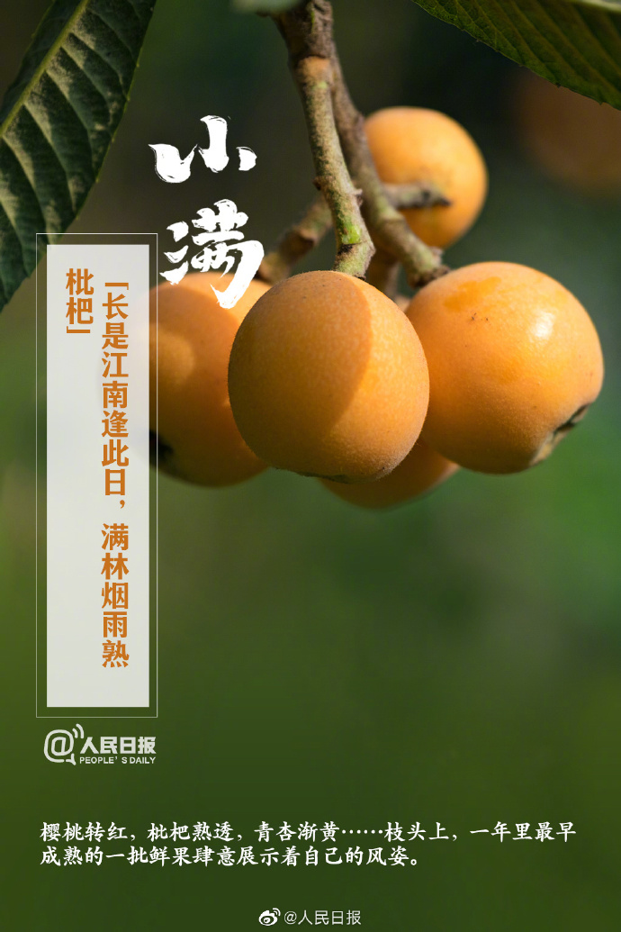 【今日，#小满#】①小满是二十四节气中第八个节气，也是夏季第二个节气；②“小满者，物致于此小得盈满”；③小满后气温明显升高，我国#多地将正式开启夏日节奏#；④此时节，雨水涟涟，蚕食桑叶，榴花绚烂。7.jpg