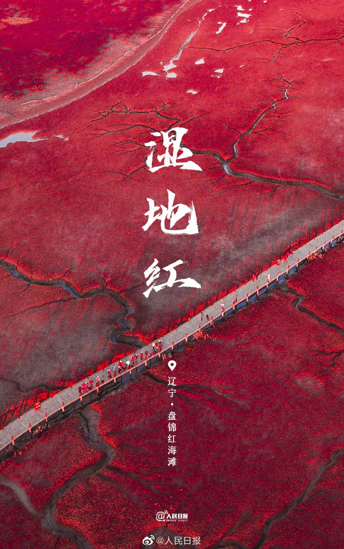 【守护大自然，就是守护我们自己】1.jpg