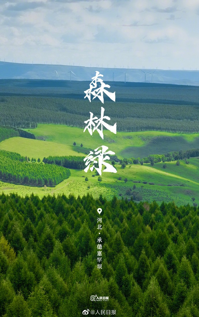 【守护大自然，就是守护我们自己】3.jpg