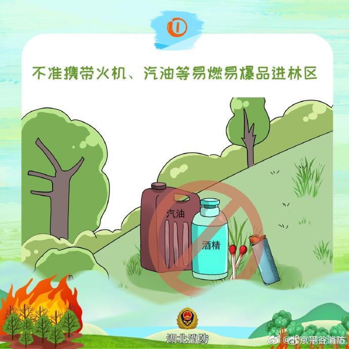 【保护森林 谨防火灾】2.jpg