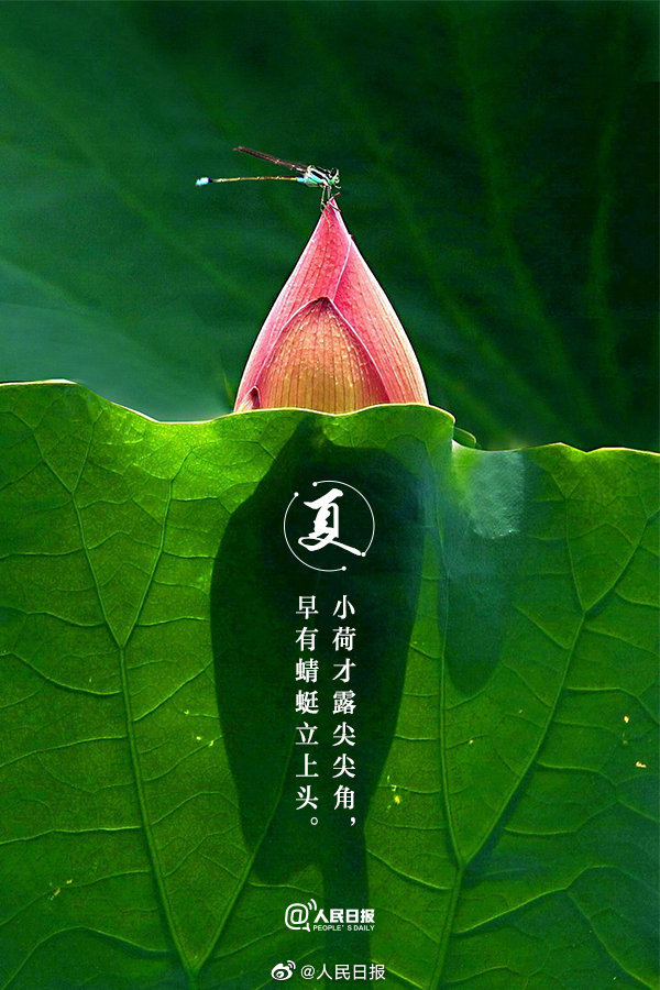 【收藏！#当夏日美景遇上古诗词#】1.jpg