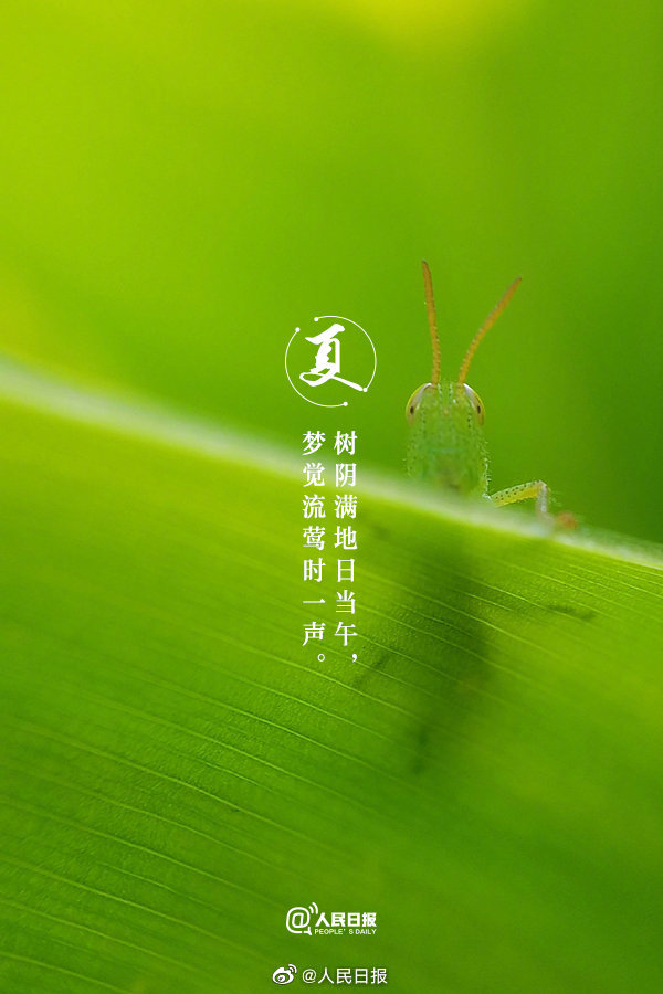 【收藏！#当夏日美景遇上古诗词#】4.jpg