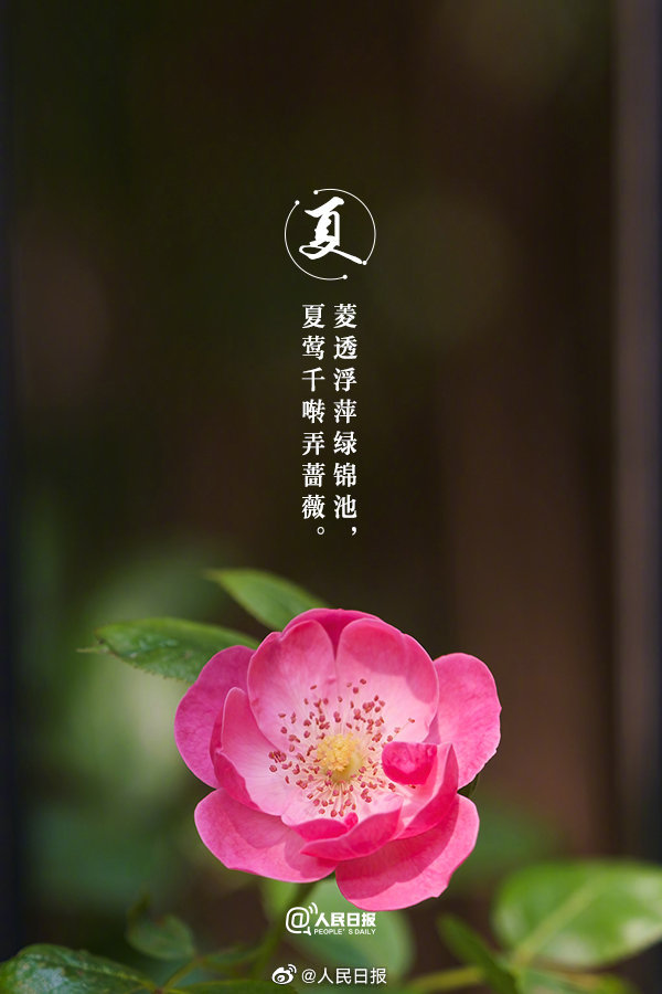 【收藏！#当夏日美景遇上古诗词#】7.jpg
