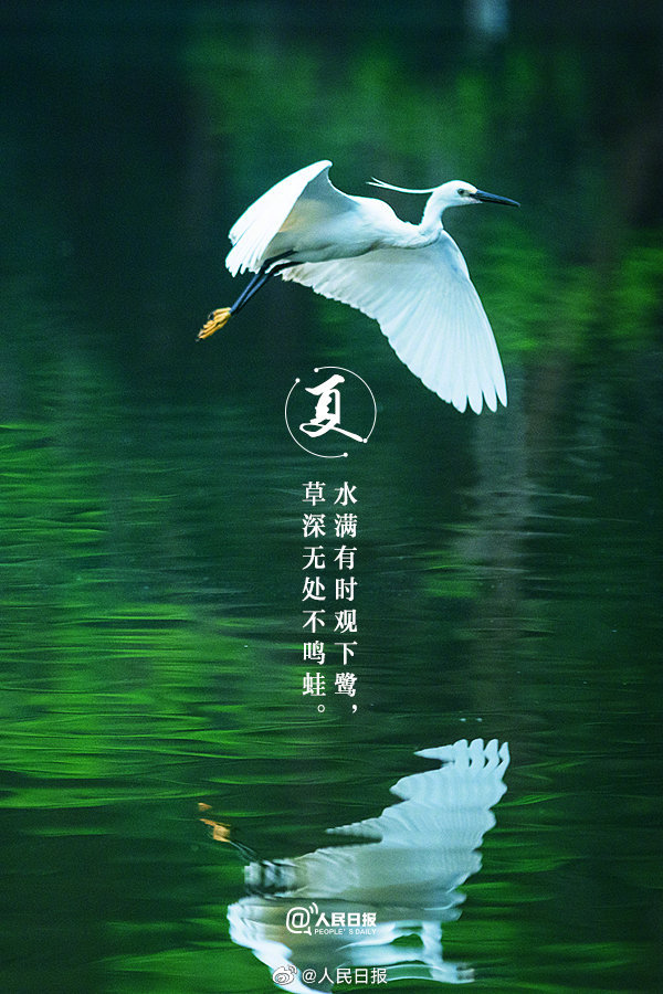 【收藏！#当夏日美景遇上古诗词#】9.jpg