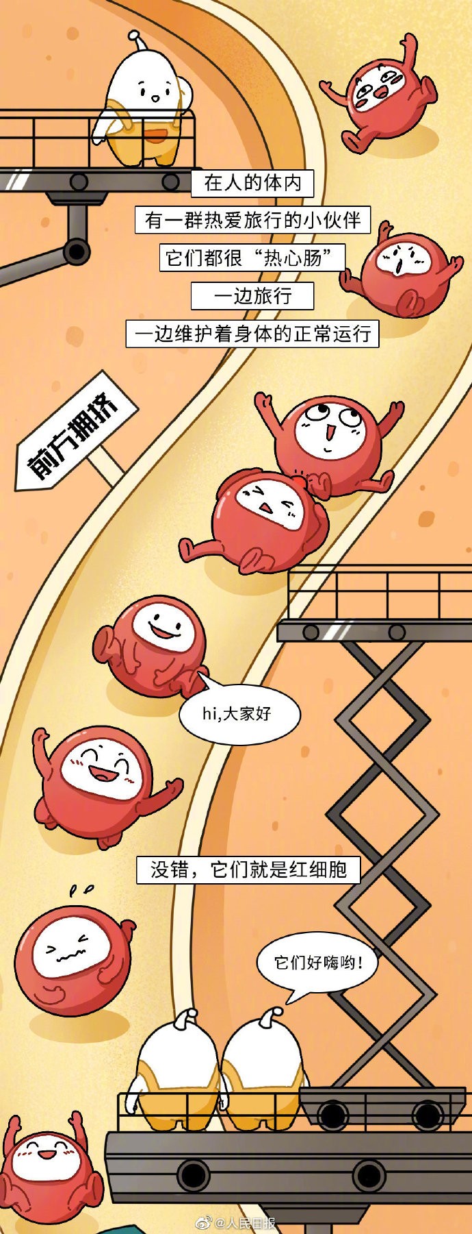 【可爱！#红细胞在人体的奇妙旅行#】1.jpg