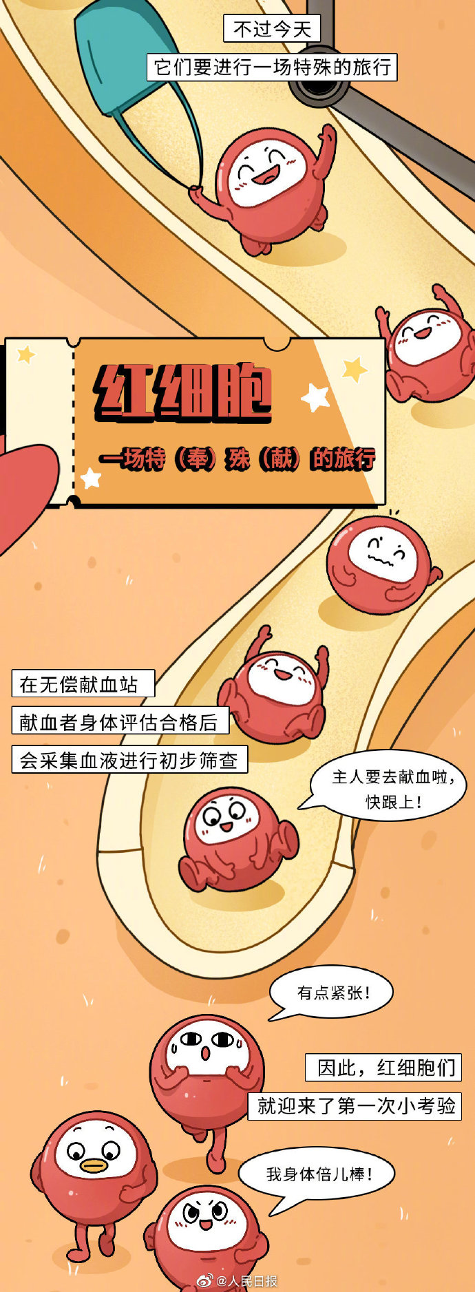 【可爱！#红细胞在人体的奇妙旅行#】2.jpg