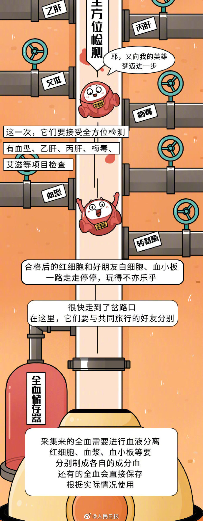 【可爱！#红细胞在人体的奇妙旅行#】6.jpg