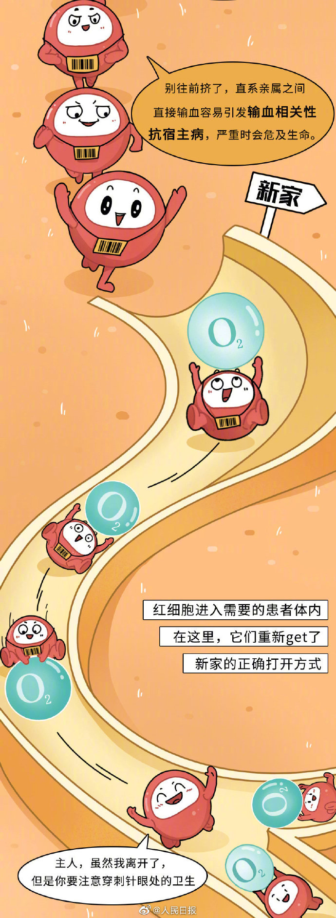 【可爱！#红细胞在人体的奇妙旅行#】8.jpg