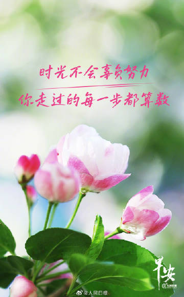 0033ImPzly1hzjldz7rvtj60p014aap102.jpg