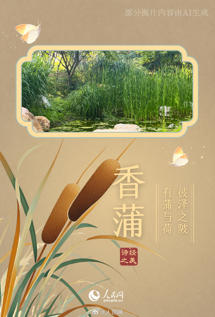 f095171c8c319ed9fbc9db7b092e4238_002uLDeXly1i2lmruts3sj60u0183qv502.jpg