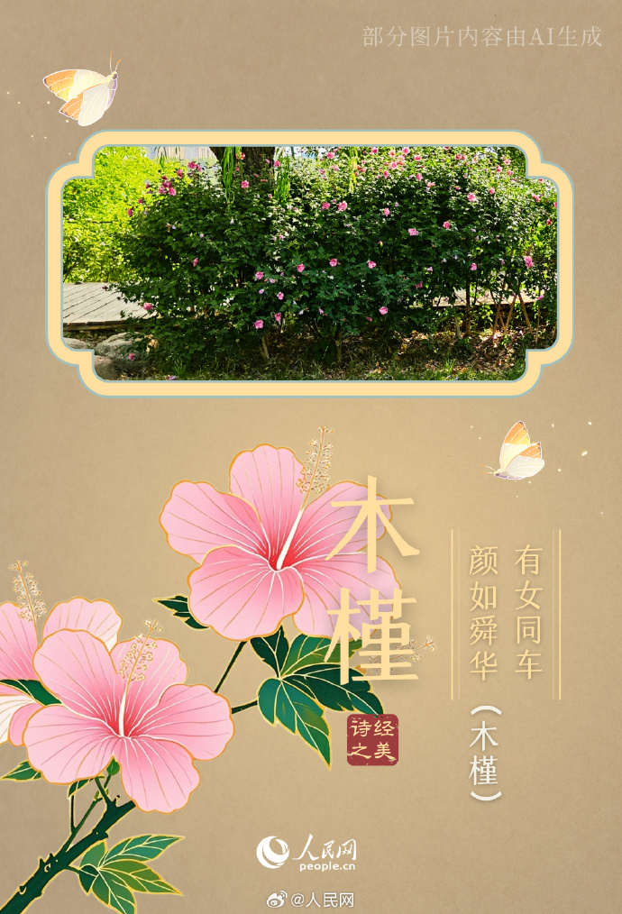 94a8d62a150ea490a92c8cdefdcc8bae_002uLDeXly1i2lmruu3mnj60u0183u0x02.jpg