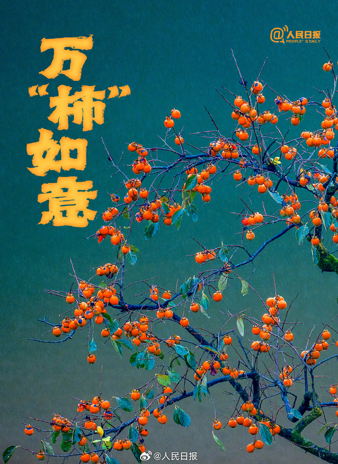 b5b03ad414ac6bad181d61f534324a9f_0033ImPzly1i69skqfuxvj60u01564qp02.jpg