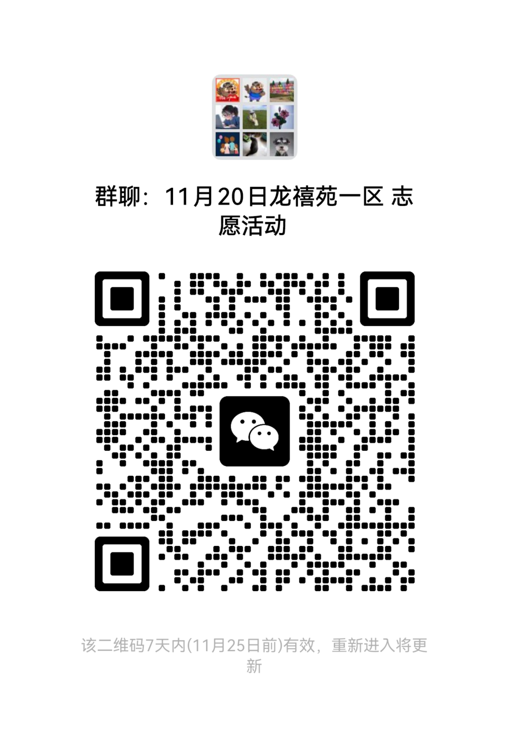 11月20日 龙禧一.png