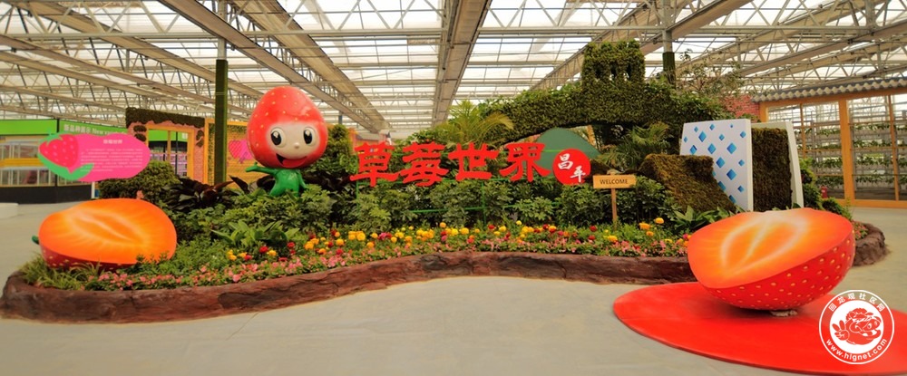 一年一度的农业狂欢盛典北京农业嘉年华在昌平区草莓博览园拉开序幕