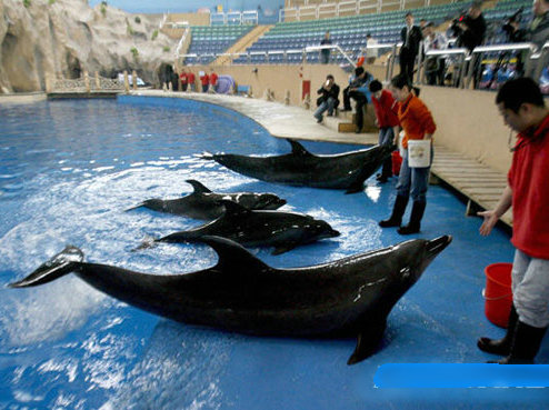 北京動物園海洋館,太平洋,富國海底世界