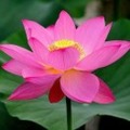 多财多亿目前处于离线状态